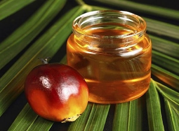 تصویر 3 از قیمت روغن هسته خرما فلاوینا + خرید باور نکردنی